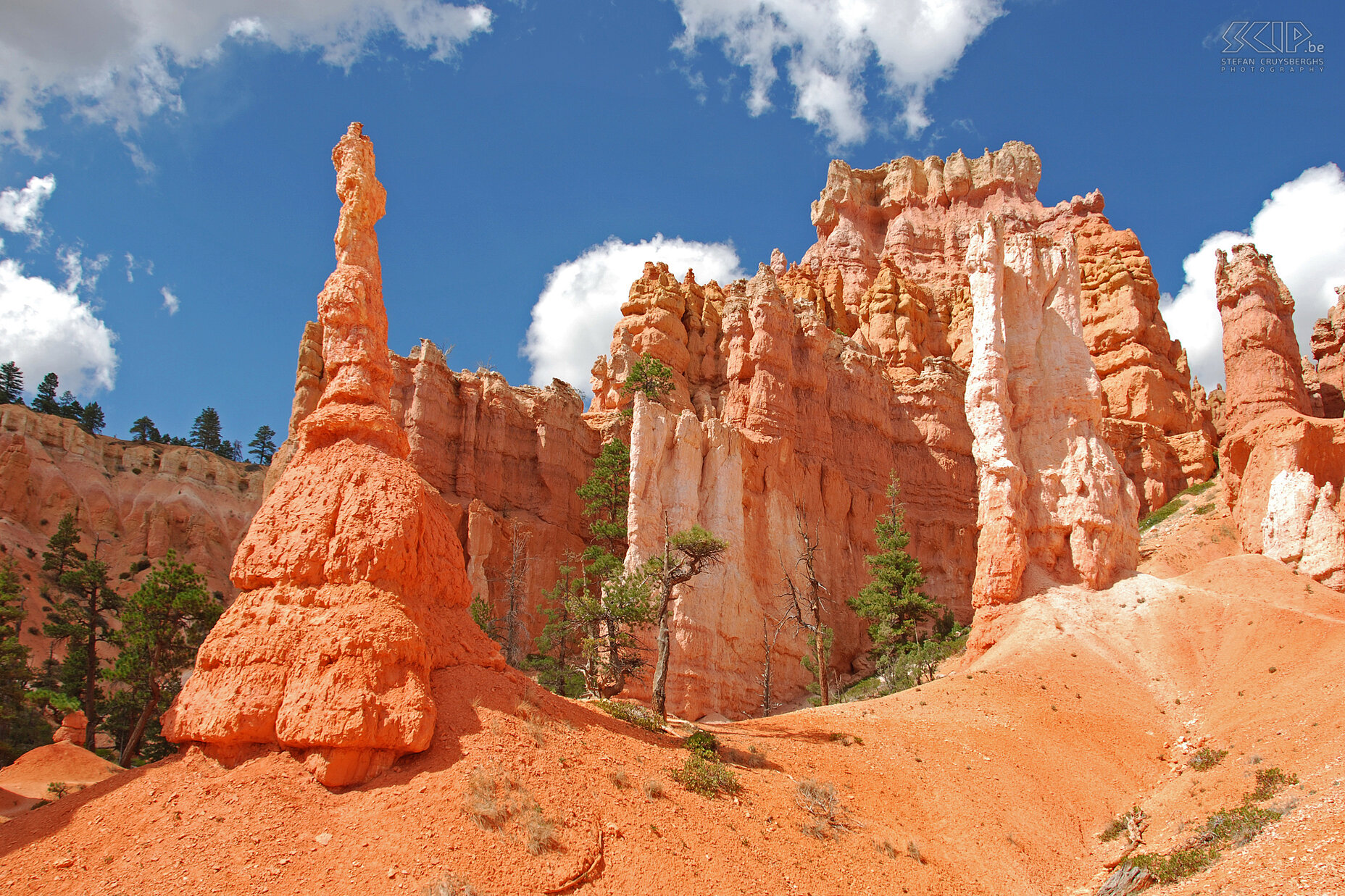 Bryce - Queens Garden Trail After following the Peekaboo Trail, we took the Queens Garden Trail which ends again on the top at Sunrise Point. In the end we walked for 13km between the wonderful hoodoos. Stefan Cruysberghs